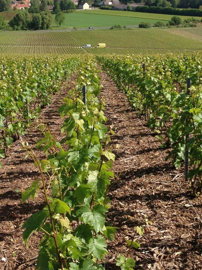 Gite Du Clos Pommier Chavot-Courcourt Exterior foto